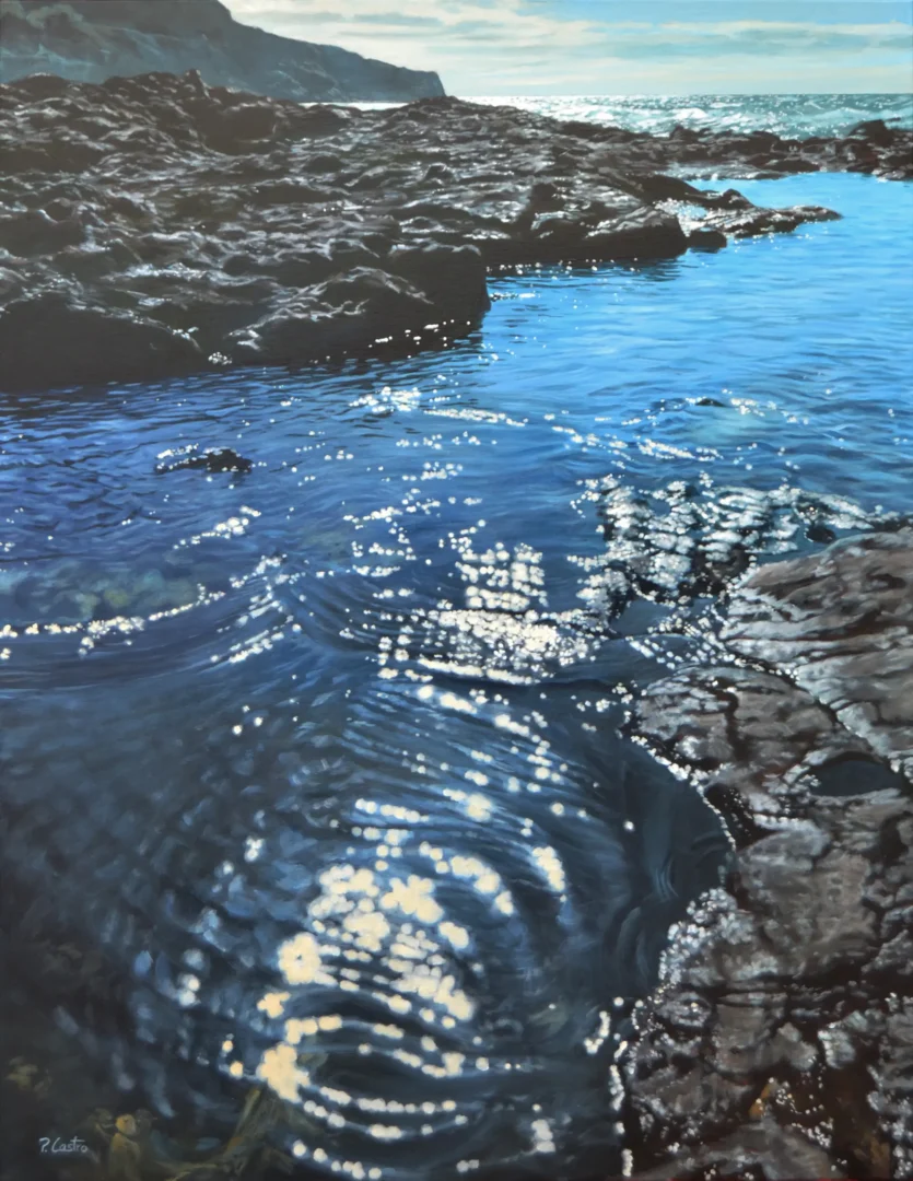 Rocas de lava en el norte de Tenerife -acrílico sobre lienzo - 90x70cm