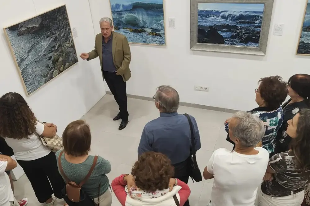 Pedro Castro Piñeiroa, Artista.